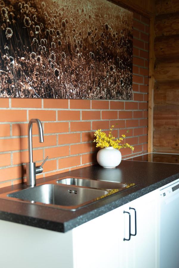 Piesupite Villa Staburags Dış mekan fotoğraf